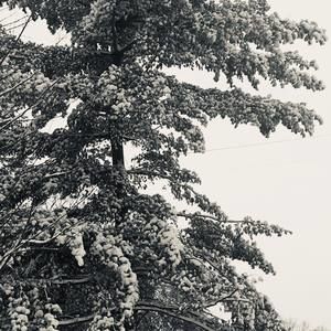 Meet your Posher, Patt